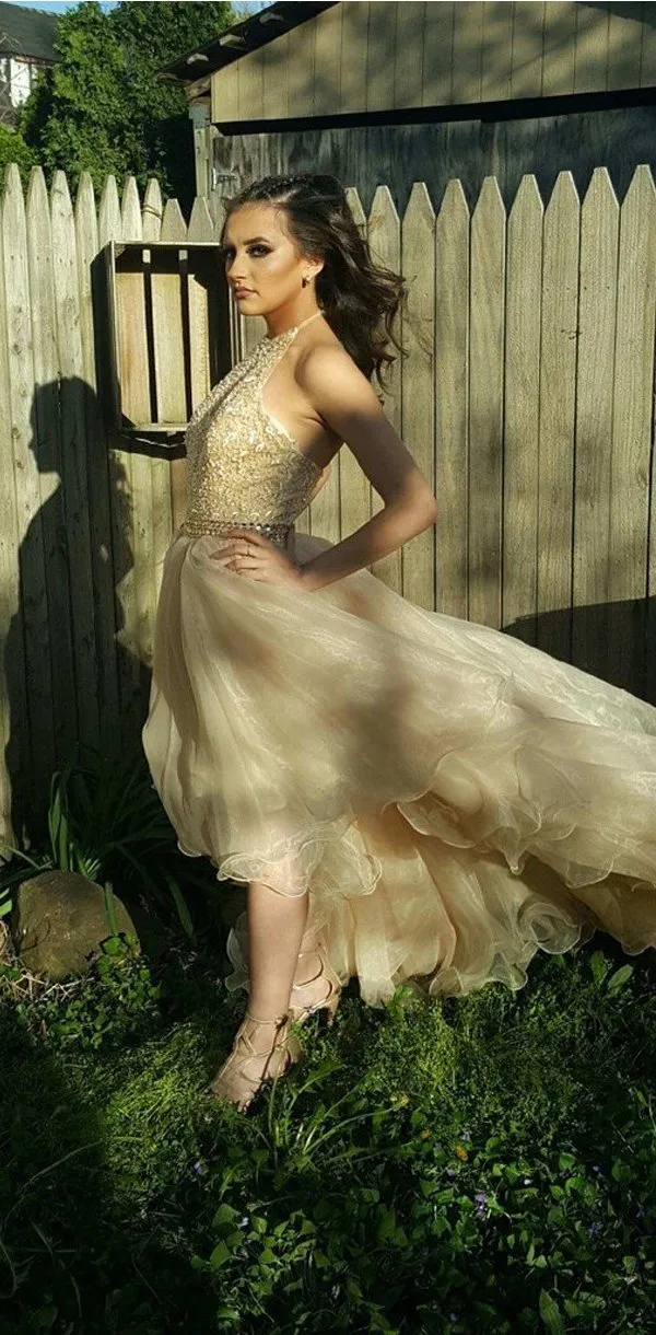 Charming Long High Gorgeous Most Popular Sleeveless New Arrival  Prom Dress , PD0336