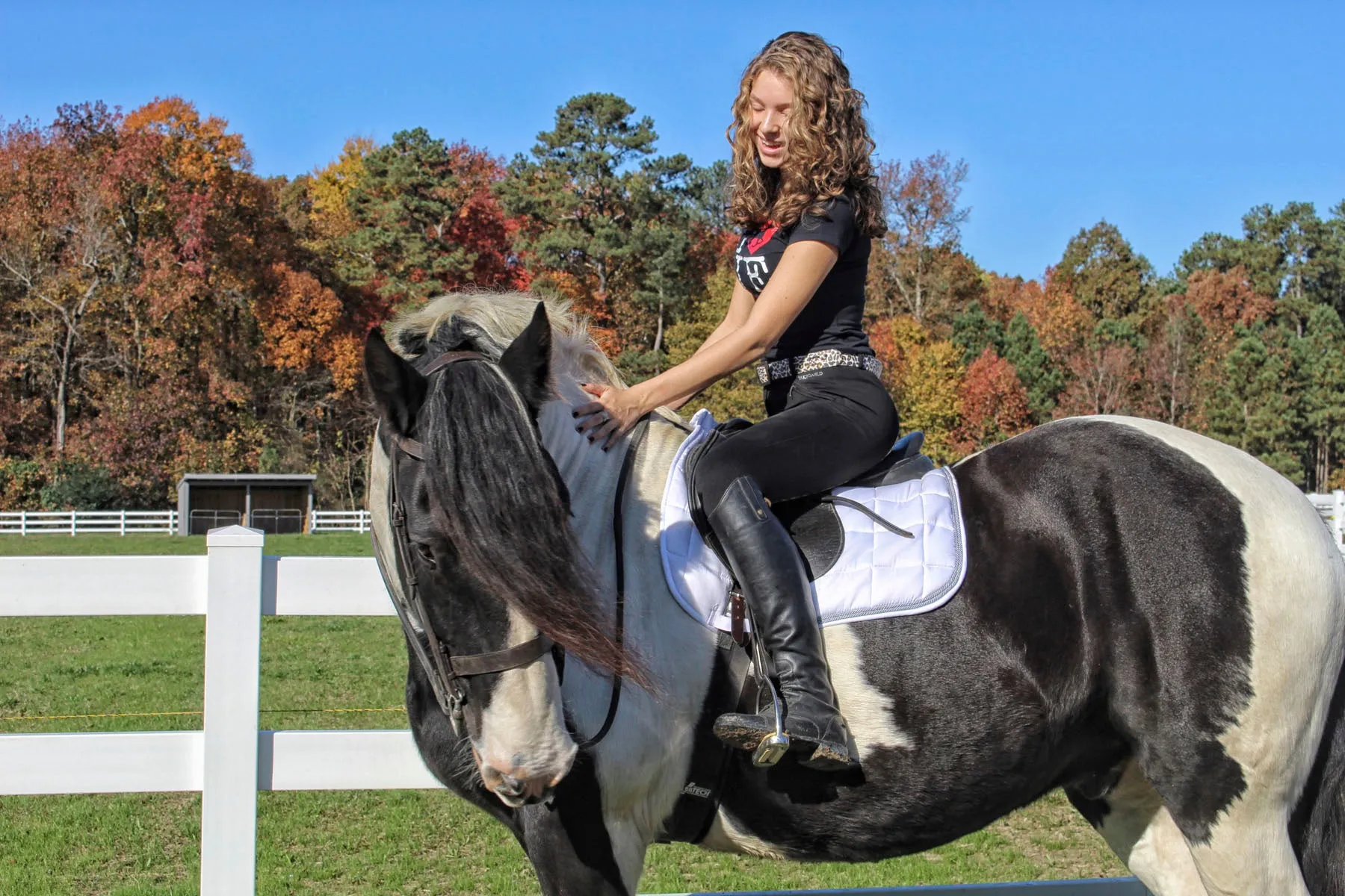 Curvy Mare | High-Waist Breech | Black   Leopard