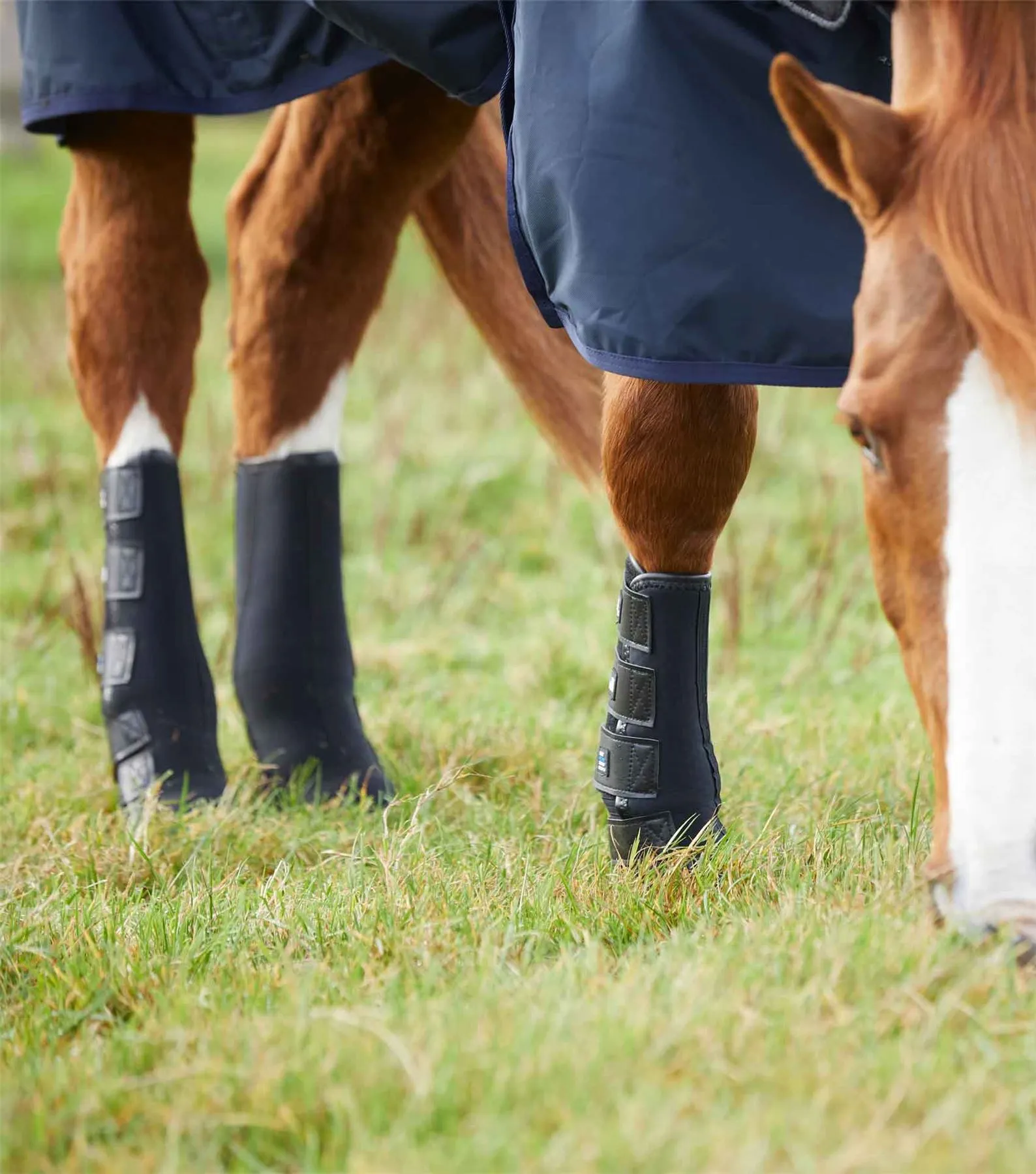 Premier Equine Turnout/ Mud Fever Boots