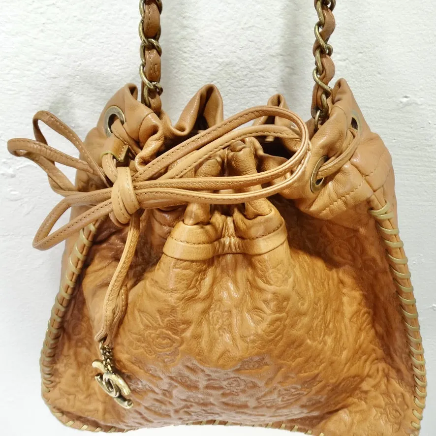 Rare Chanel 2011 Crossbody Hobo Bag